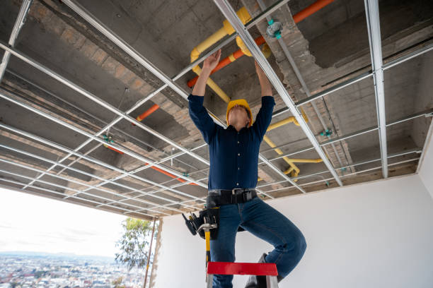 Best Local Plumber Services  in Olga, FL