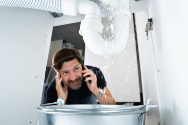 Best Residential Plumbing Services  in Olga, FL